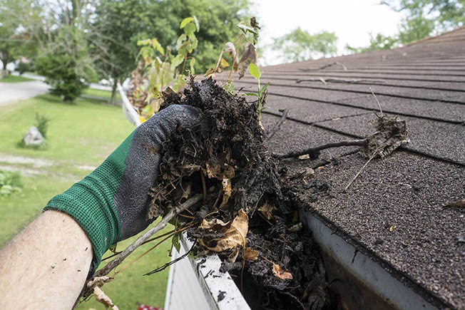 https://雷竞技下载链接官网appwww.explorizers.com/wp-content/uploads/2021/05/bigstock-Worker-Cleaning-Gutters-For-A-98897165.jpg